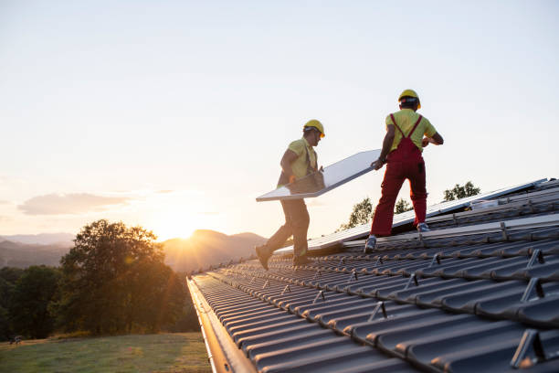 Best Skylight Installation and Repair  in Columbia, IL