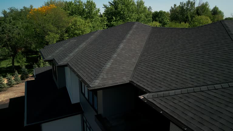 Best Solar Panel Roofing Installation  in Columbia, IL